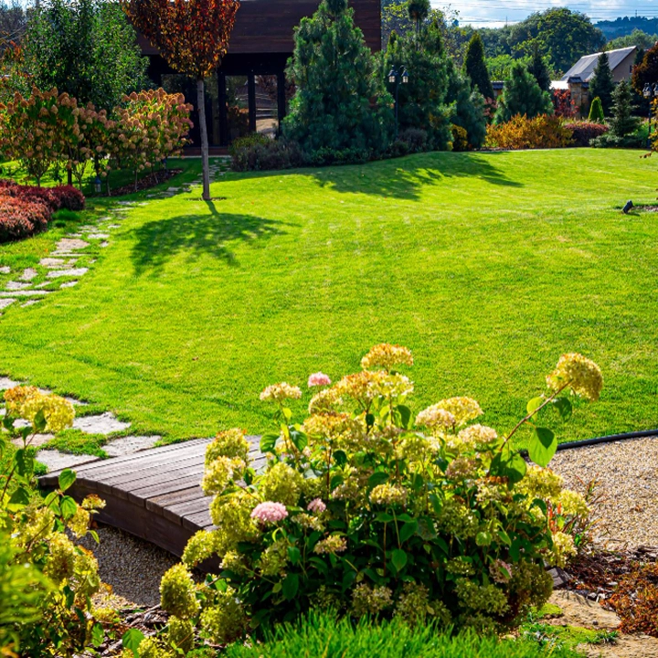 fortnightly lawn mowing maintenance plan Brisbane